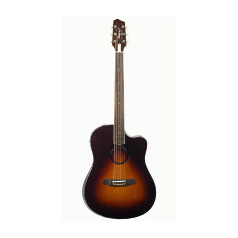 baggs-aeg-1-acoustic-electric-guitar-sunburst-front