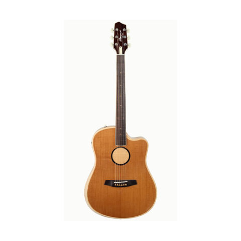baggs-aeg-1-acoustic-electric-guitar-torrefied-front
