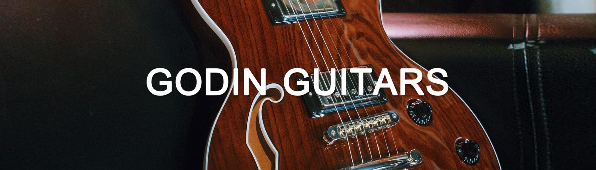 Godin Guitars NEW Banner